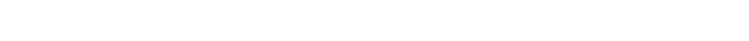 Director Chamber Investors