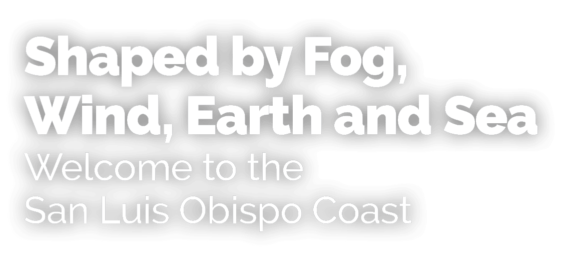 Shaped by Fog, Wind, Earth and Sea Welcome to the San Luis Obispo Coast