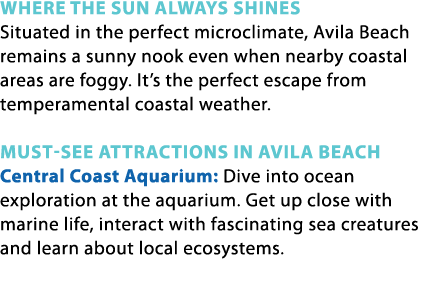 WHERE THE SUN ALWAYS SHINES Situated in the perfect microclimate, Avila Beach remains a sunny nook even when nearby c...