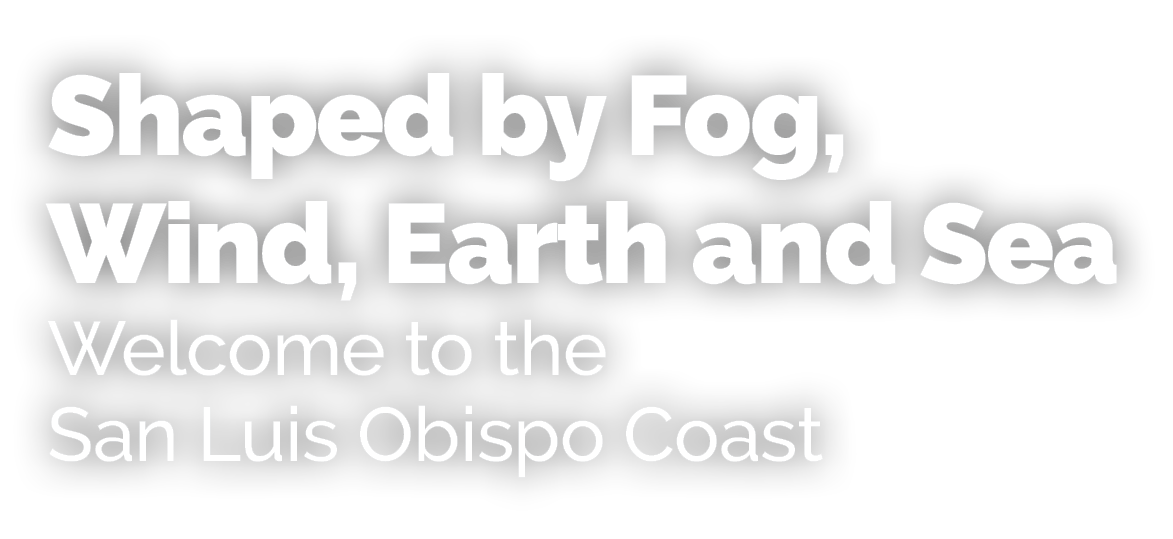 Shaped by Fog, Wind, Earth and Sea Welcome to the San Luis Obispo Coast