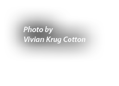 Photo by Vivian Krug Cotton