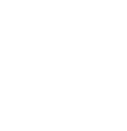 MICROTRANSIT LAUNCH Promises Transit for More of SNJ