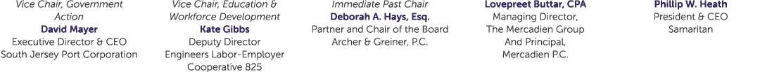 Vice Chair, Government Action David Mayer Executive Director & CEO South Jersey Port Corporation Vice Chair, Educatio...