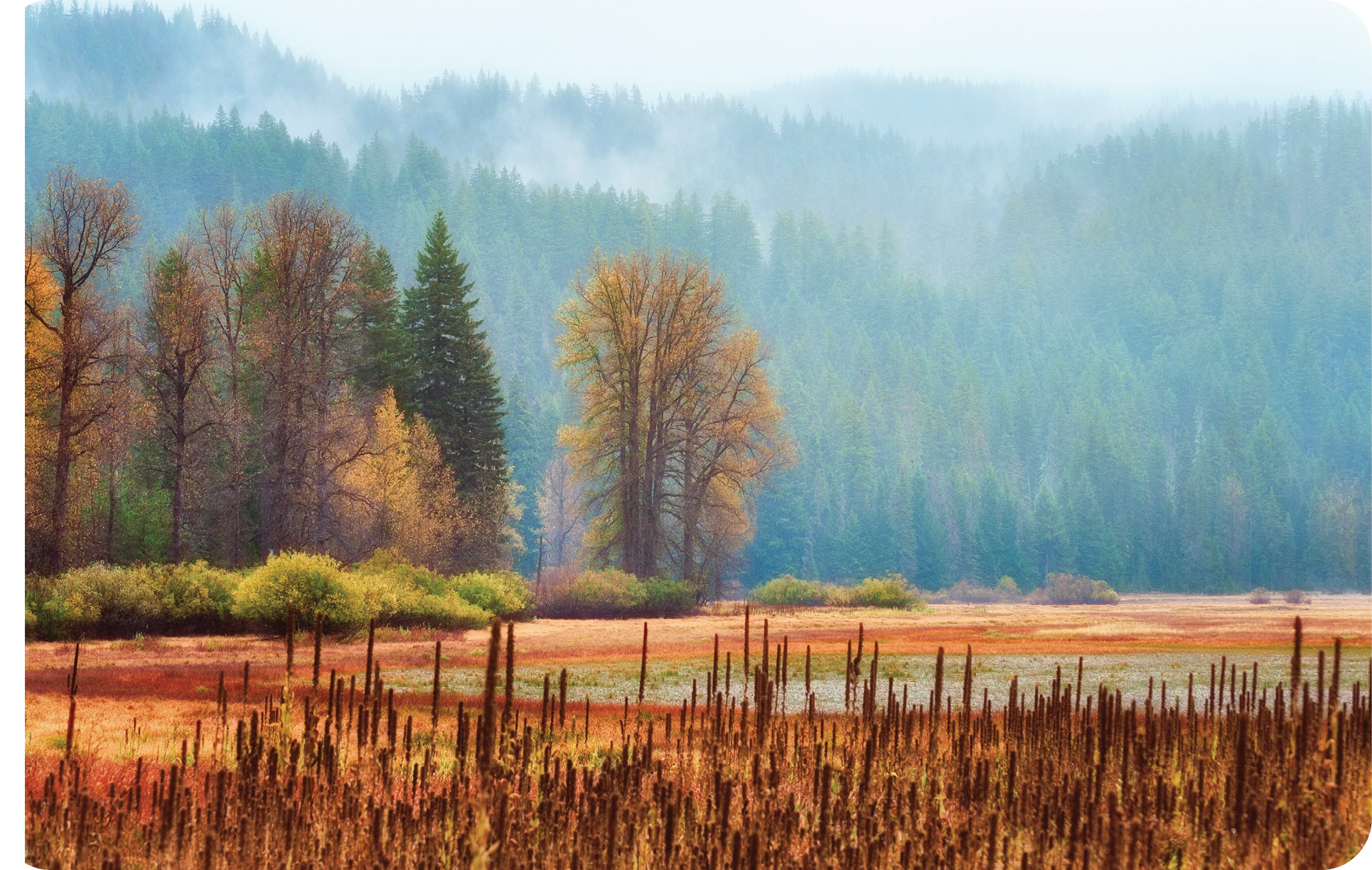 Autumn landscape at Lost lake on Santiam Pass near Hoodoo Ski Area. Durning the summer months, this lake turns into a marsh like meadow.  No longer being heavly feed by melting snow feed streams it drains into an open lava tube.  Heavy clouds and light rain adds to the beautiful serene landscape.