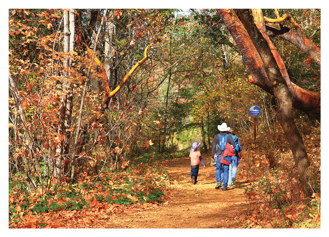 Ashland, Oregon State-USA, November 11, 2019 : A family is hiking in the Lithia Park in autumn.