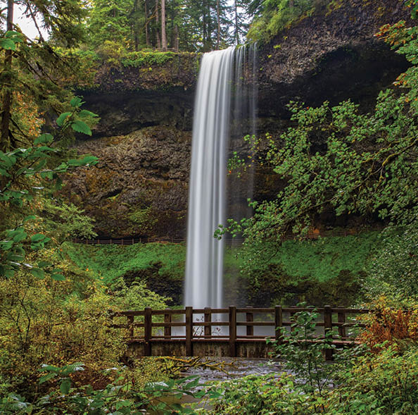 This beautiful 177 foot waterfalls is along the canyon rim in Silver Falls Park, Oregon.