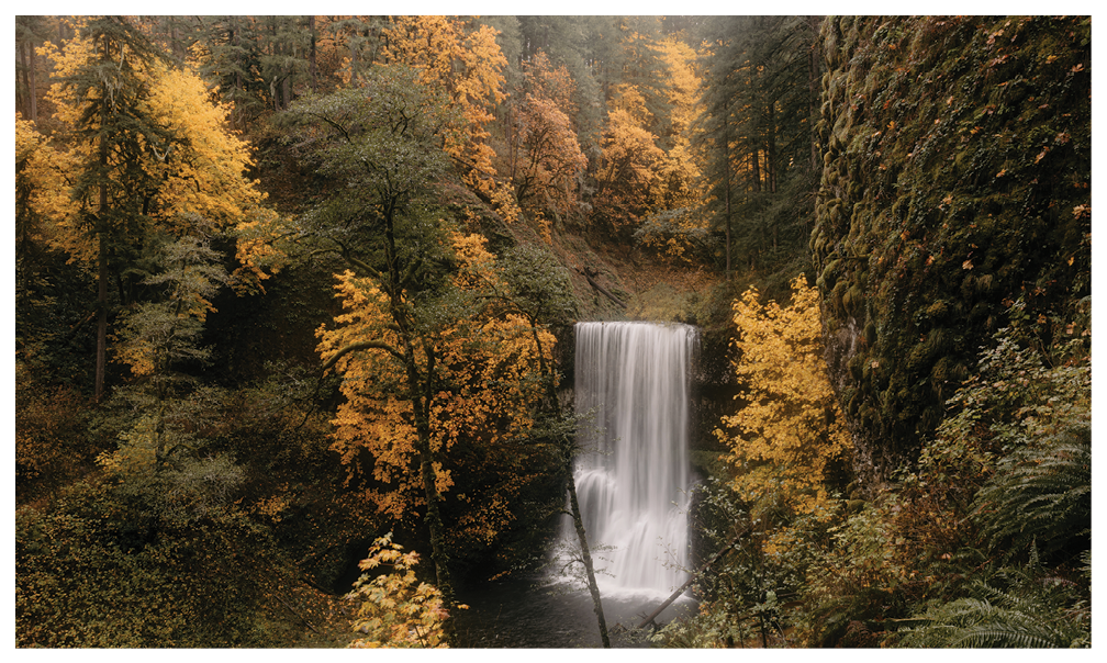 Silky flowing waterfall in Oregon’s autumn woodland forest