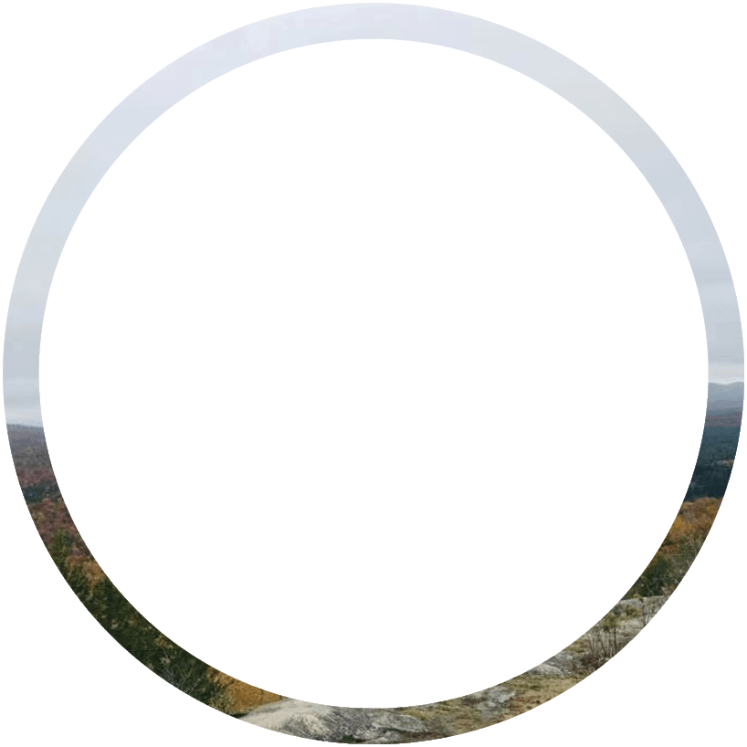 Polygon