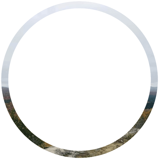 Polygon