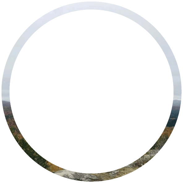 Polygon