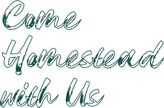Come Homestead with Us