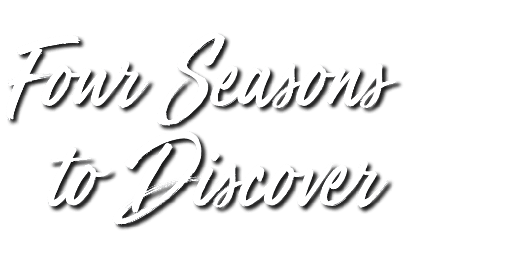 Four Seasons to Discover
