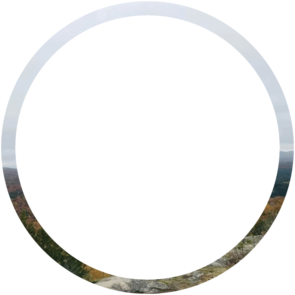 Polygon