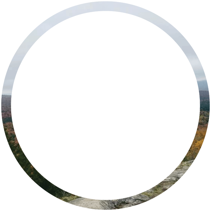 Polygon