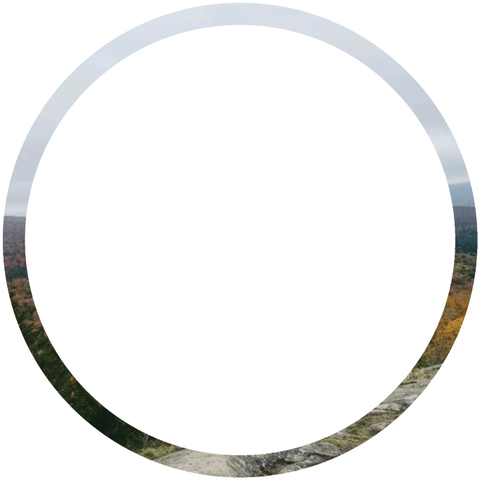 Polygon