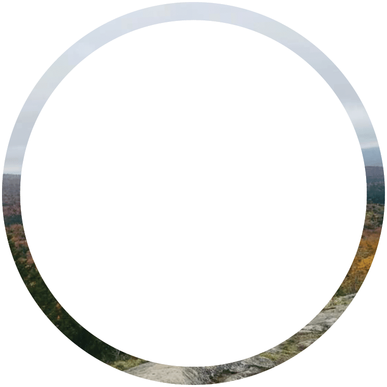 Polygon