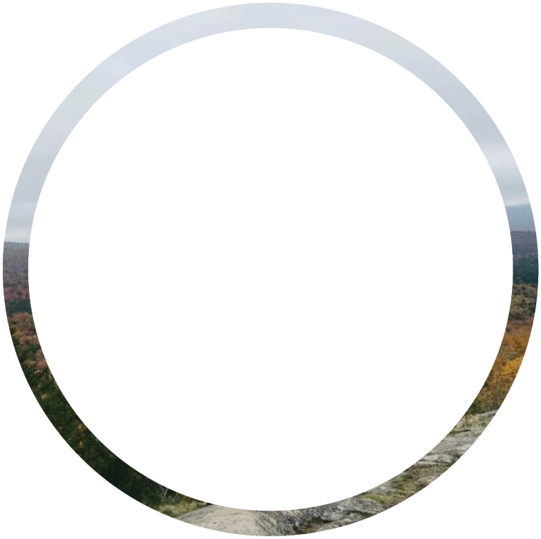 Polygon