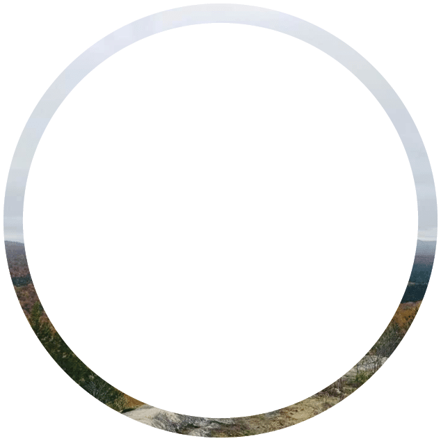 Polygon