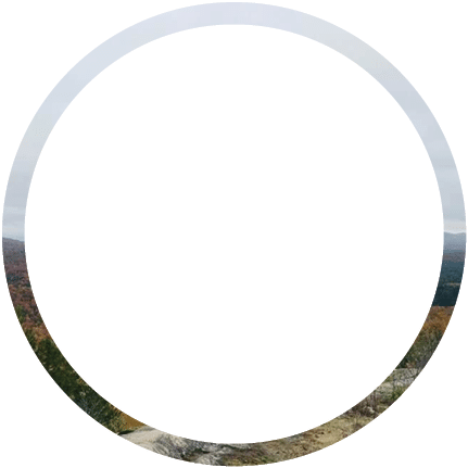 Polygon