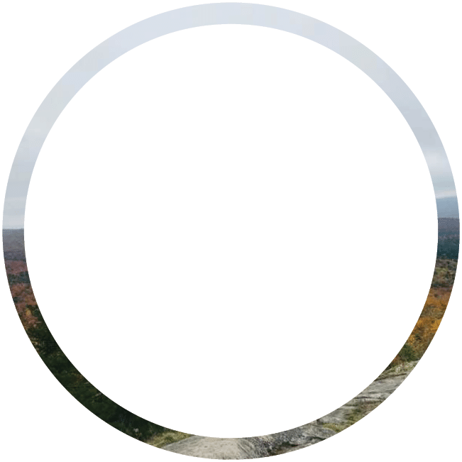 Polygon