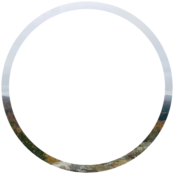 Polygon