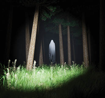 Ghost illuminated by a lantern in a mysterious forest with fog at night. Halloween concept. Horror, apparition, night exploration and fear. 3d rendering