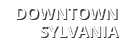 DOWNTOWN SYLVANIA