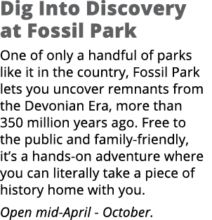 Dig Into Discovery at Fossil Park One of only a handful of parks like it in the country, Fossil Park lets you uncover...