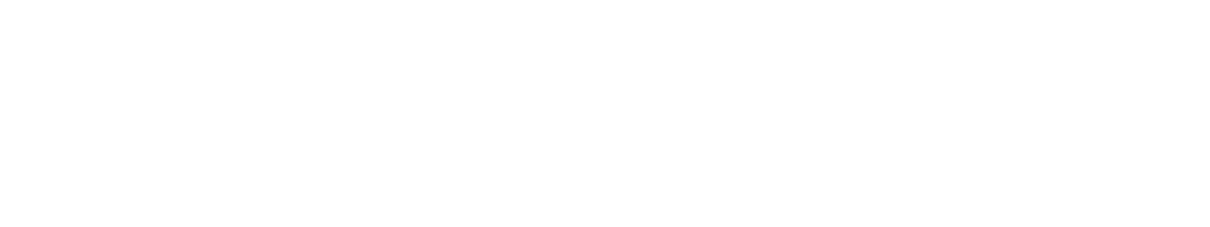  Tornado – Stories of resilience, Yellow Rose of Texas 