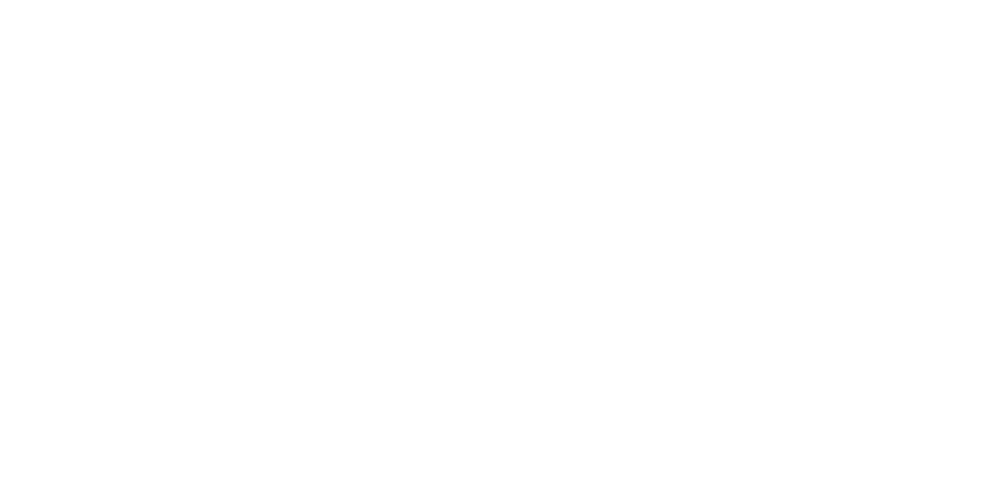 Festivals 