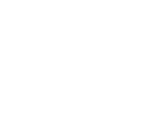 OneSpartanburg, Inc. believes in a bold vision for Spartanburg County, one with greater prosperity and quality of lif...