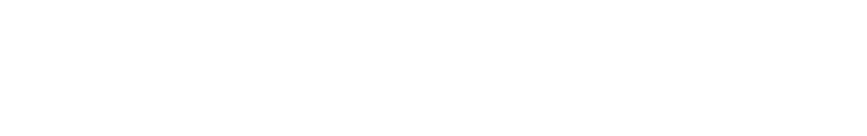 the highlights