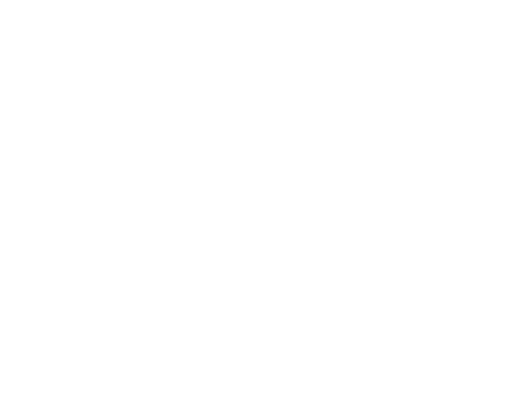 SLED Guidance on Concealed Weapons in Businesses
