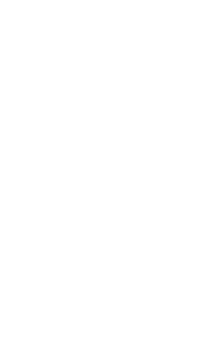 WHAT IS THE VISION PLAN 2.0? Launched in March 2022, the Vision Plan 2.0 is Spartanburg County’s second five year com...