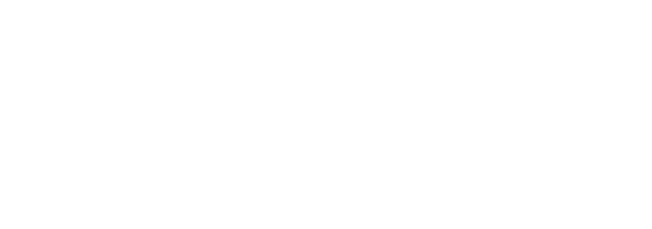 CHOOSING A CAREER PATH