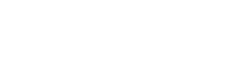 Spartanburg County organizations partner to create internships for law and public service sector