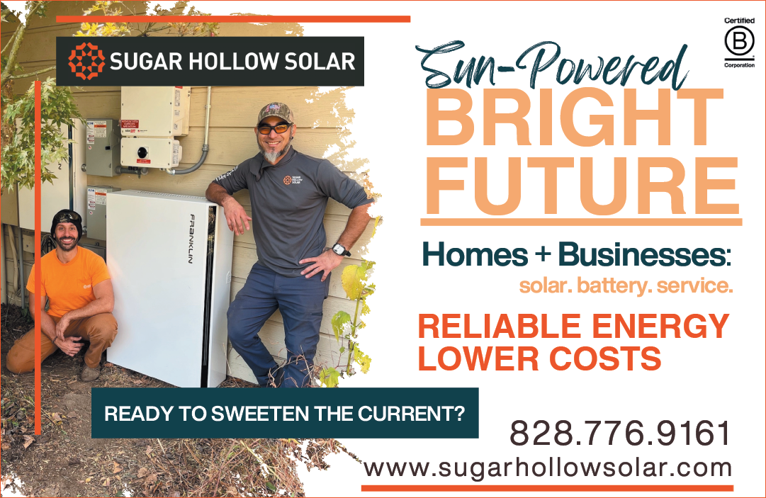 Two men are posing in front of a solar panel, promoting a solar energy service. AI generated content