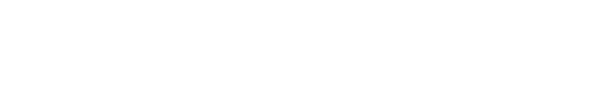 the highlights