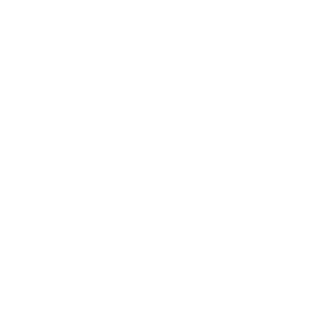 they just welcomed us with open arms