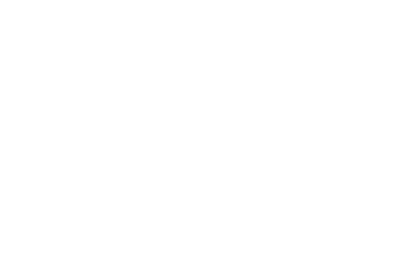 To the Stars and Beyond Spartanburg County Public Libraries plans Planetarium, Inman expansion, display of historical...