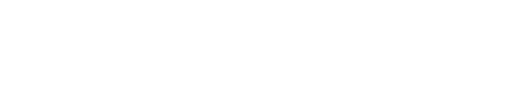 Spartanburg County's Small & Minority Business Development Initiative