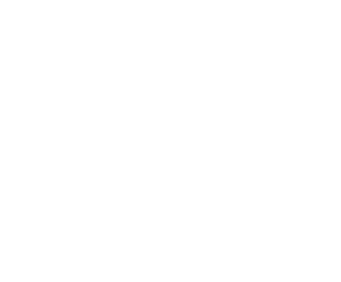The things and services that we pursue are for support of the economic activity of the area. We do flights to make bu...