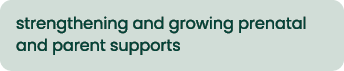strengthening and growing prenatal and parent supports