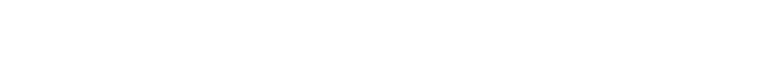 The Senior Community