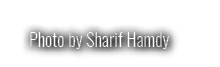 Photo by Sharif Hamdy