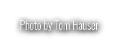 Photo by Tom Hauser
