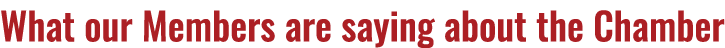 What our Members are saying about the Chamber