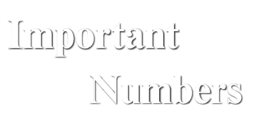 Important Numbers