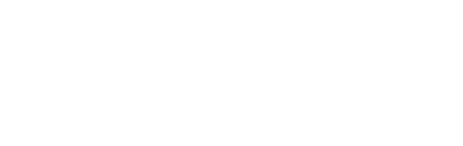 Virginia Celebrates its Anniversary