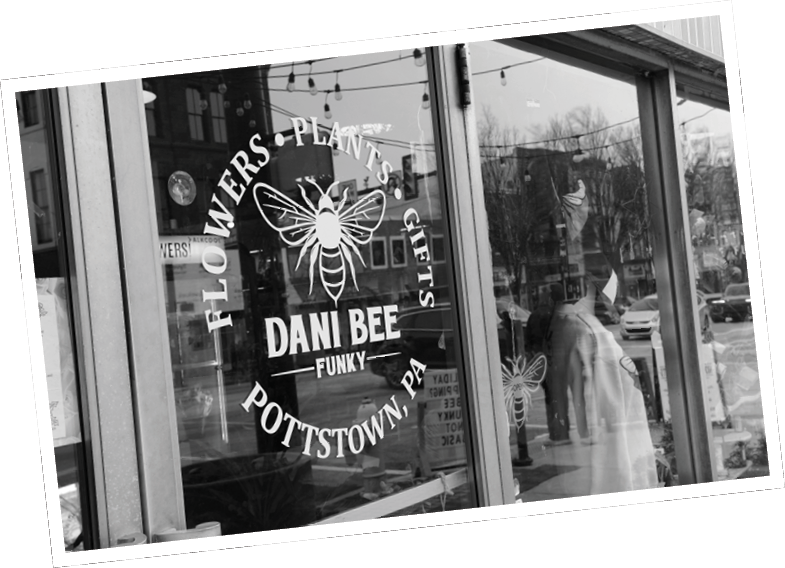 A window display for a flower shop with a sign that says “Dani Bee's Potts Town Funky". AI generated content